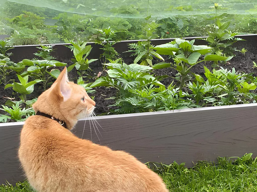 Отзывы о компании Woodgrand